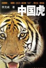 马鼎盛:中国独有的华南虎为何会灭绝